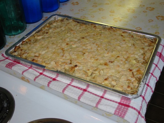 576x432 pixels (66K)